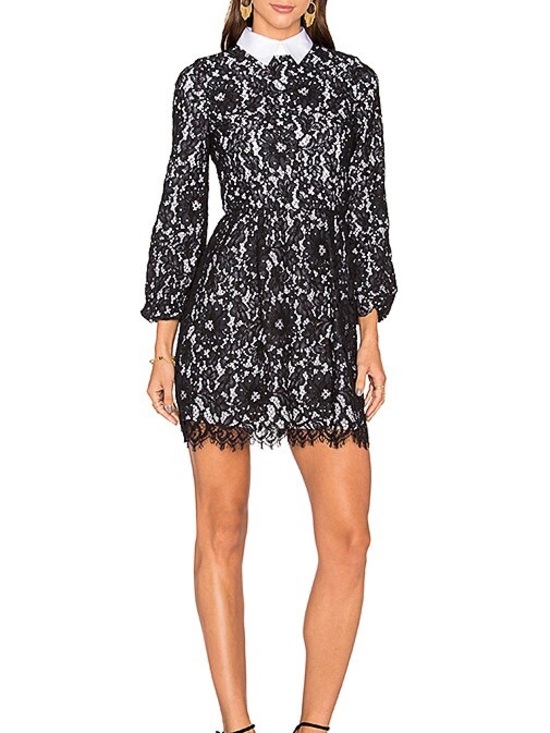Alice + Olivia Dresses & Skirts - Alice + Olivia Terisa Fit & Flare Lace Dress in Black & White